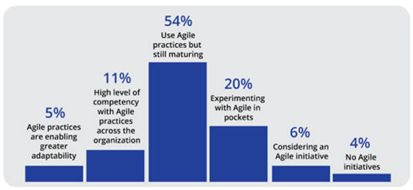 State of Agile Report