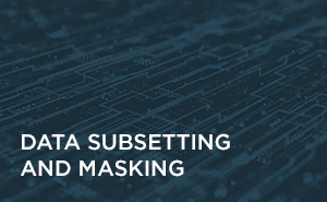 Data Subsetting and Masking