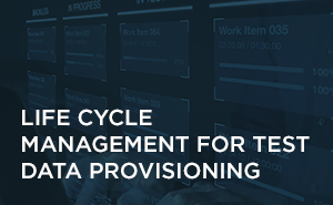 Life Cycle Management for Test Data Provisioning