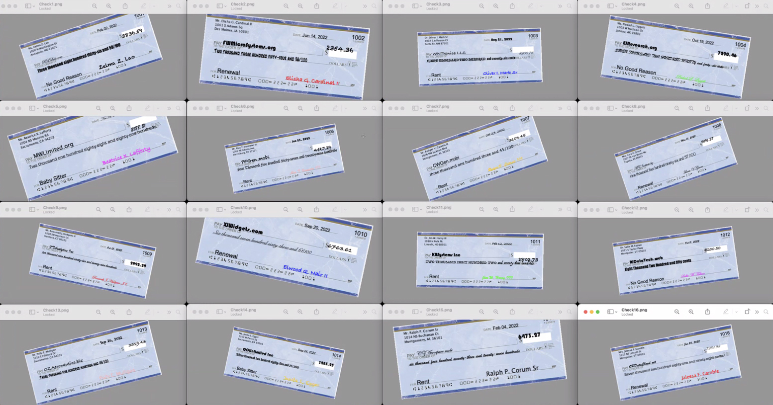 Bank checks simulating positive and negative image capture scenarios